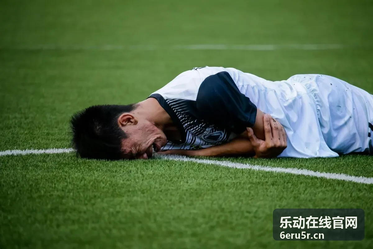 乐动在线官网场景方案服务范围