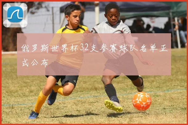 俄罗斯世界杯32支参赛球队名单正式公布