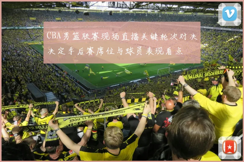 CBA男篮联赛现场直播关键轮次对决决定季后赛席位与球员表现看点